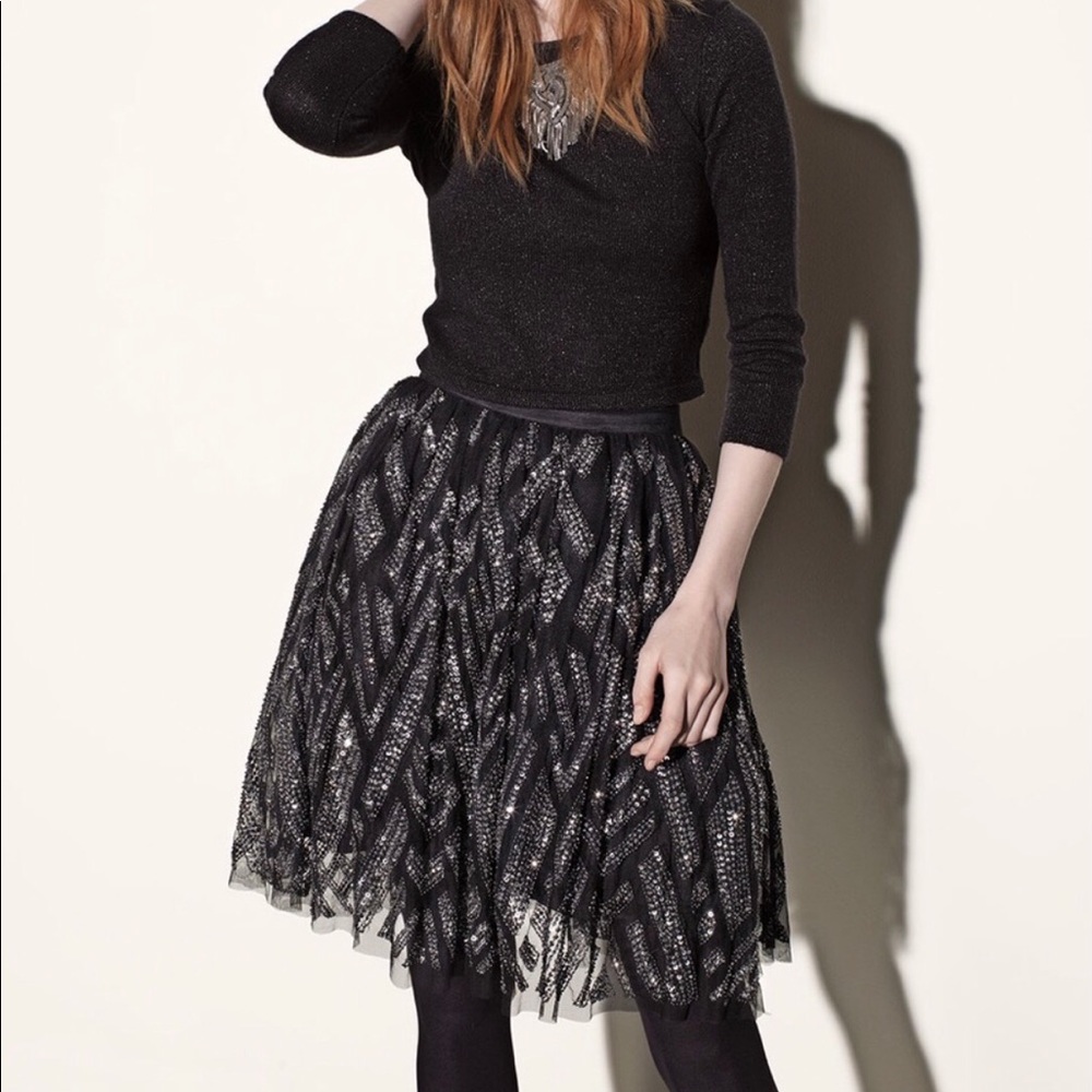 🔥🔥PARKER sequined tulle skirt